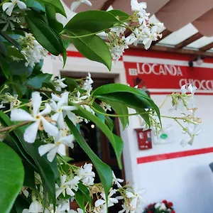locanda-chiocciola.hotelinveneto.com/
